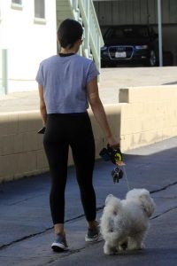 Lucy Hale in a Gray Tee