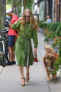 Amanda Seyfried in a Green Dress