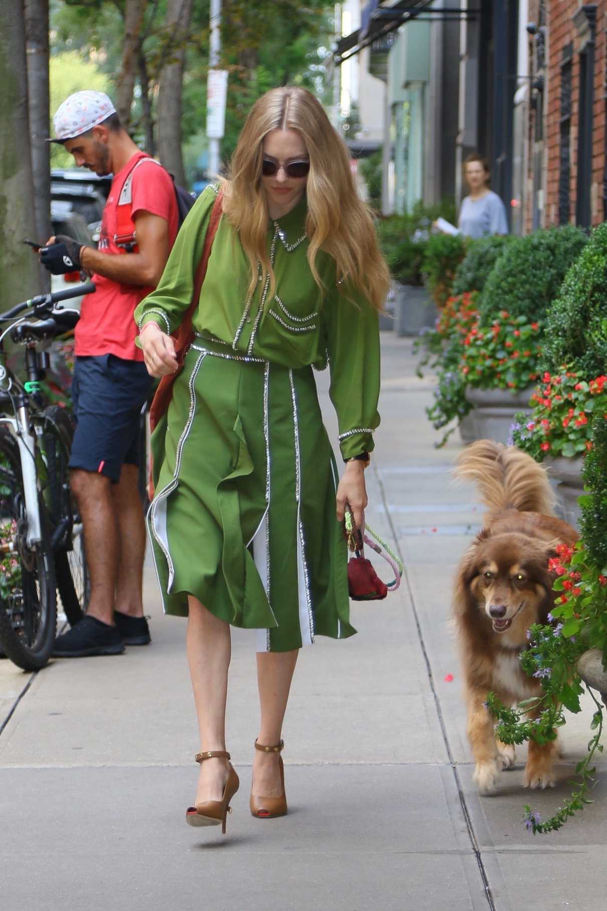 Amanda Seyfried in a Green Dress Out with Her Dog Leaves Her Apartment ...