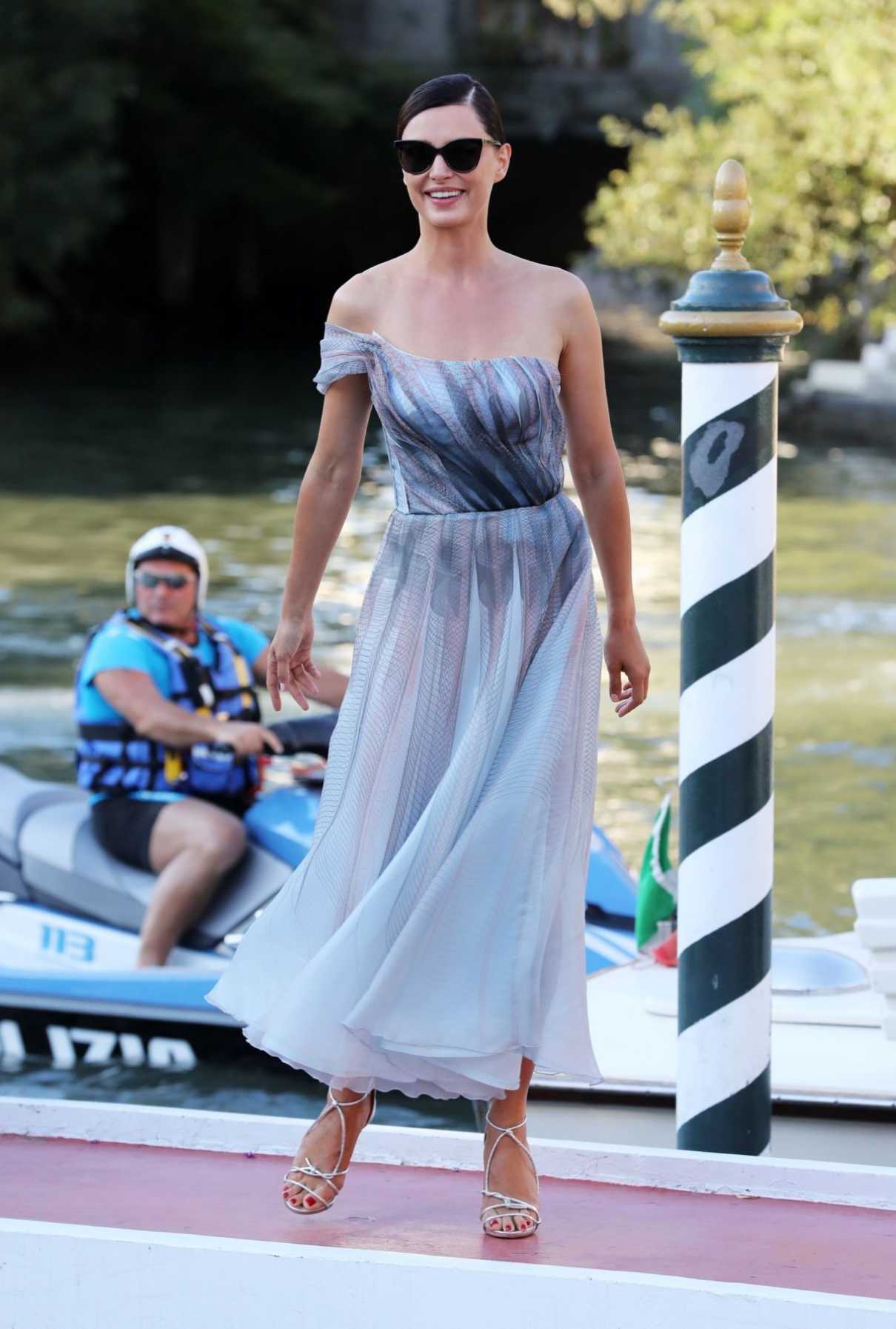 Catrinel Menghia in a Gray Dress