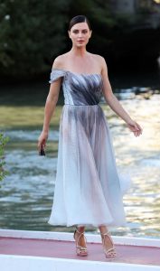 Catrinel Menghia in a Gray Dress