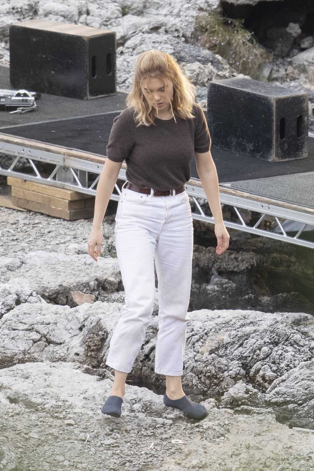 Lea Seydoux in a Brown Tee