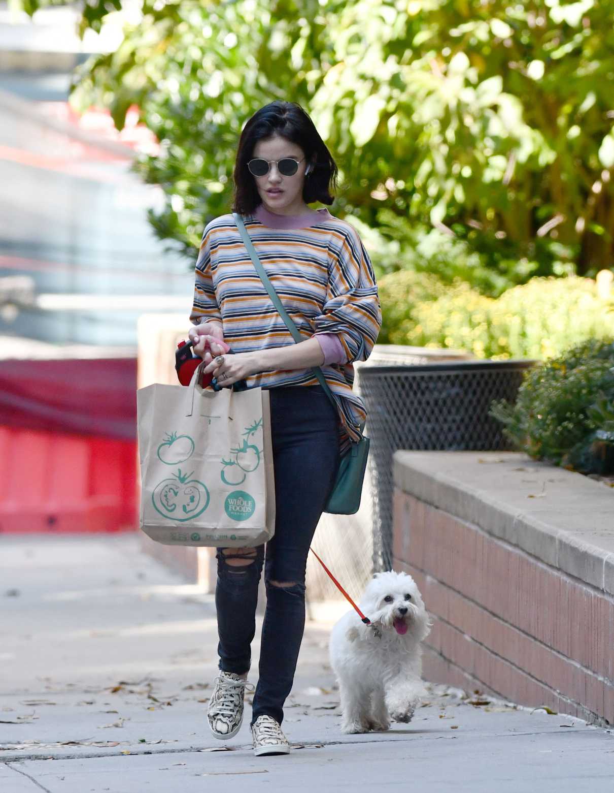 Lucy Hale in a Striped Long Sleeves T-Shirt