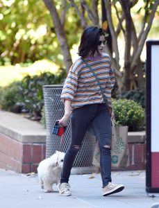 Lucy Hale in a Striped Long Sleeves T-Shirt