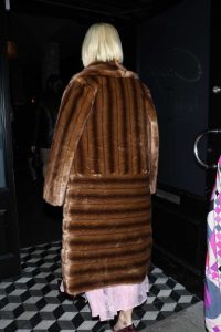 Katy Perry in a Brown Fur Coat