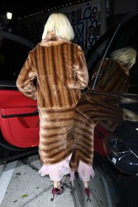 Katy Perry in a Brown Fur Coat