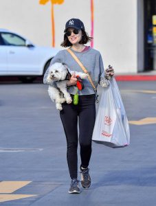 Lucy Hale in a Gray Cropped Sweatshirt