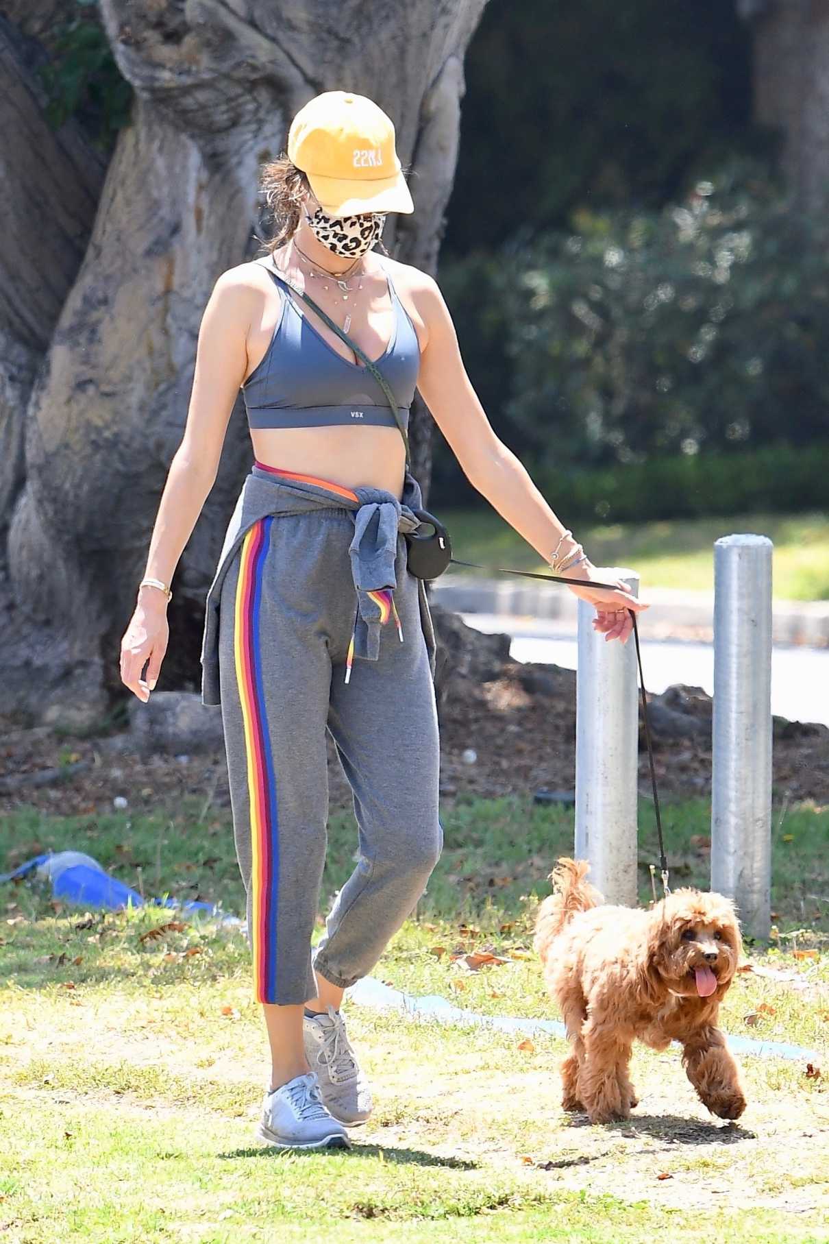 Alessandra Ambrosio in a Gray Sports Bra Walks Her Dog in Santa Monica ...