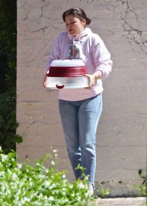 Ginnifer Goodwin in a Pink Hoody