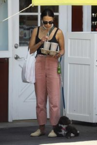 Jordana Brewster in a Pink Pants