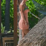 Rachael Leigh Cook in Bikini while Vacationing in Mexico 06/13/2020