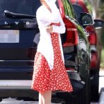 Isla Fisher in a Red Dress Gets Curbside Groceries in Los Angeles 06/30/2020