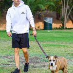 Gregg Sulkin in a Black Shorts Walks Her Dog at a Park in Los Angeles 08/24/2020