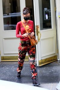 Bella Hadid in a Full Colour Pants