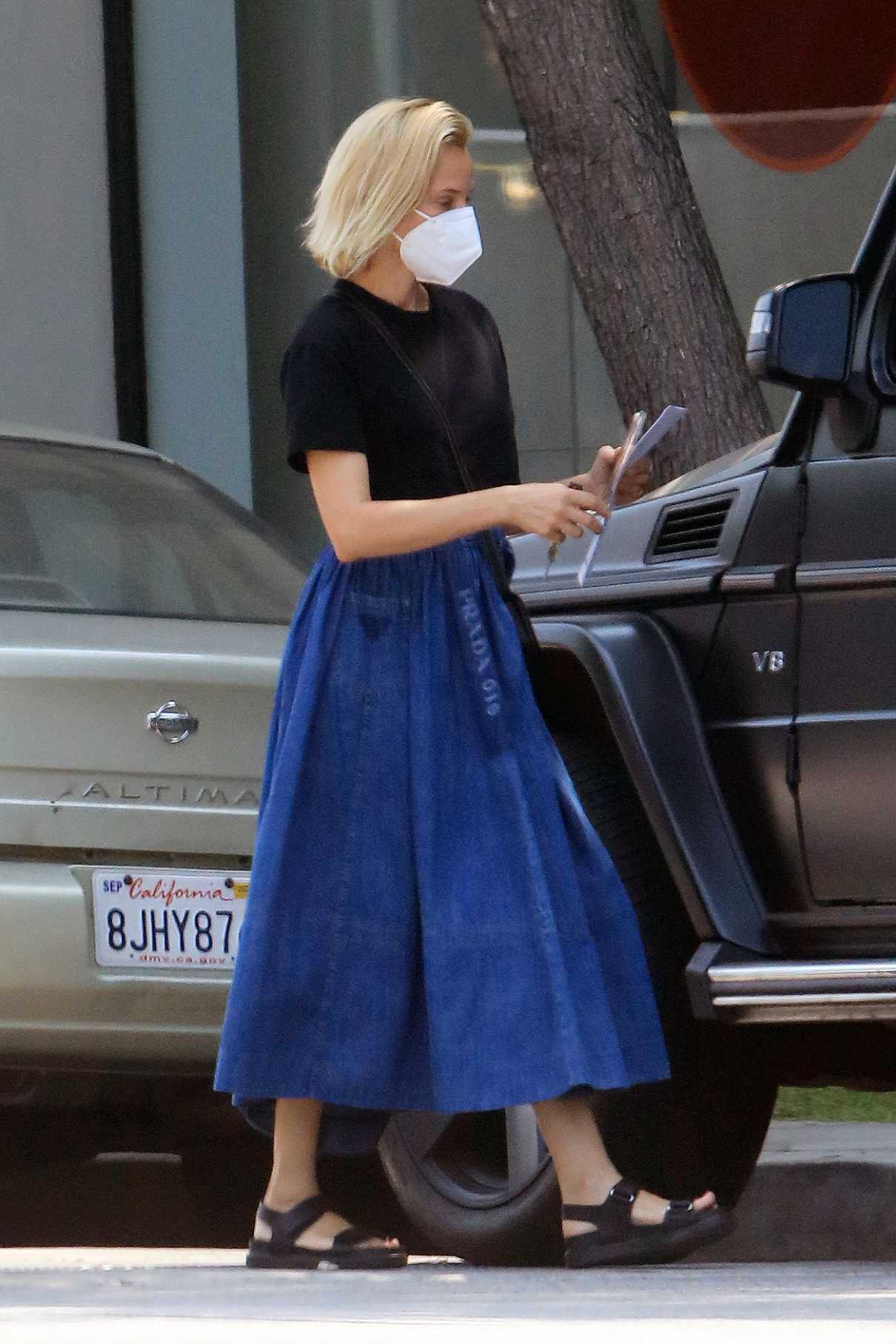 Diane Kruger in Blue Skirt Goes Grocery Shopping in Los Angeles 09/17 ...