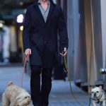 Hugh Jackman in a Protective Mask Walks His Dogs in New York City 10/26/2020