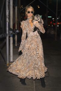 Paris Hilton in an Animal Print Dress