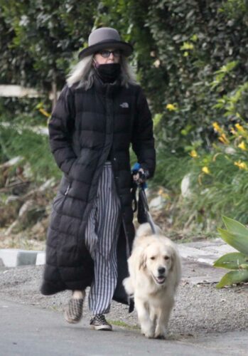 Diane Keaton in a Black Puffer Coat Takes Her New Puppy Reggie for a