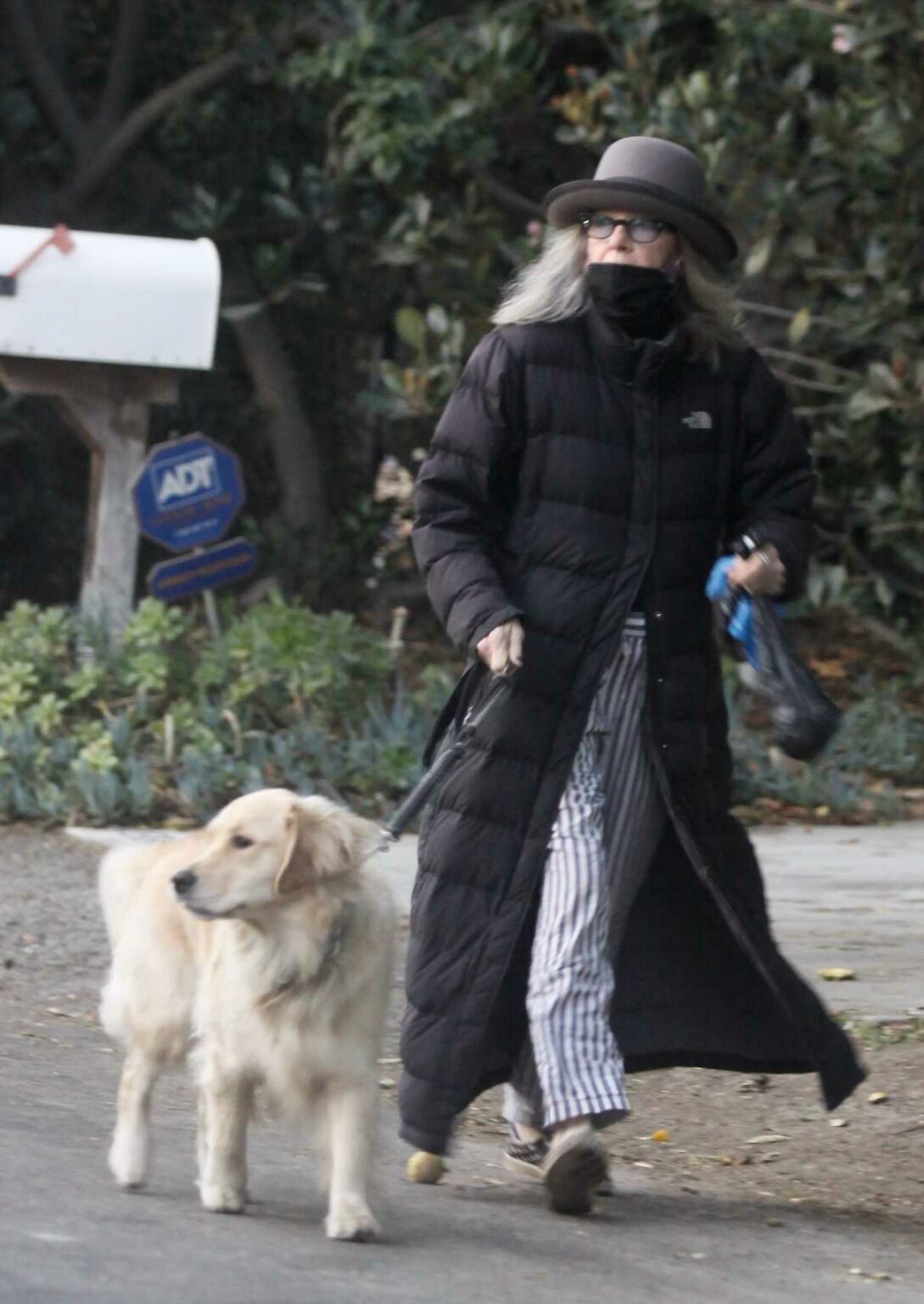 Diane Keaton in a Black Puffer Coat Takes Her New Puppy Reggie for a