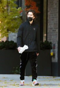 Timothee Chalamet in a Black Protective Mask