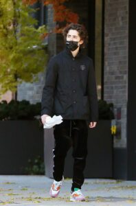 Timothee Chalamet in a Black Protective Mask