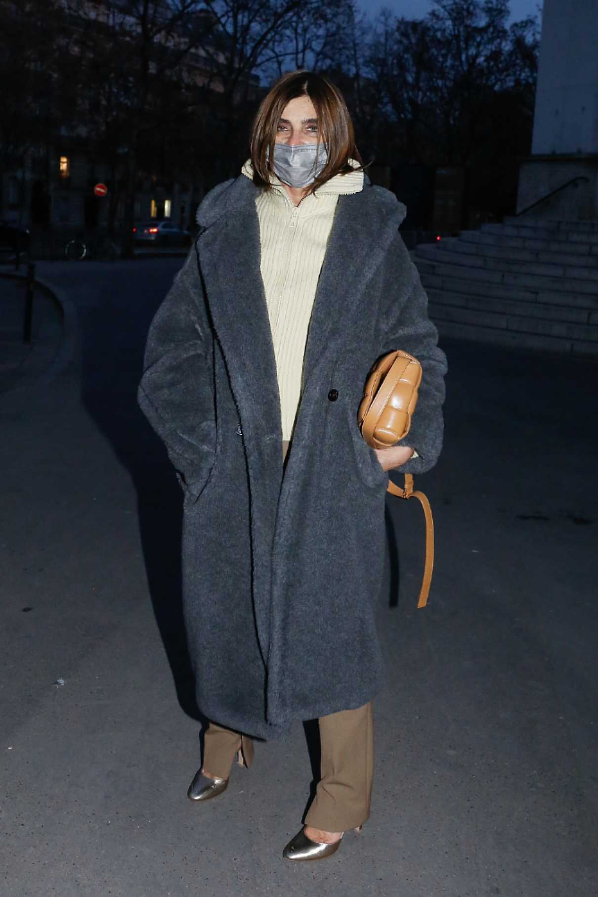Carine Roitfeld in a Grey Fur Coat