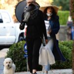 Jamie Lee Curtis in a Black Outfit Walks Her Dog in Brentwood 12/20/2020