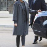 Queen Letizia of Spain in a Grey Coat Attends Meeting of the Urgent Spanish Foundation FundeuRAE at Royal Academy of Language in Madrid 12/04/2020