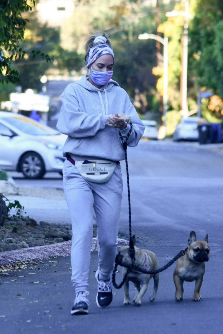 Teddi Mellencamp in a Grey Sweatsuit Walks Her Dogs in Encino 12/04