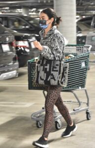 Lucy Hale in a Brown Animal Print Leggings