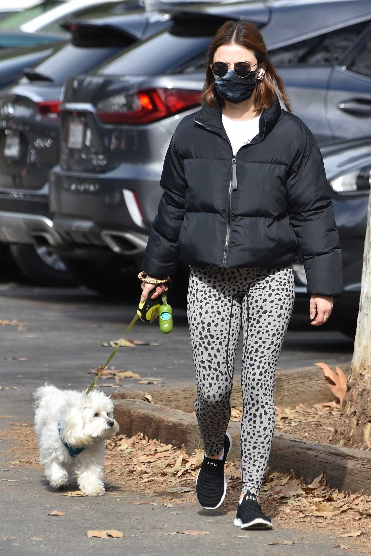 Lucy Hale in a Grey Animal Print Leggings