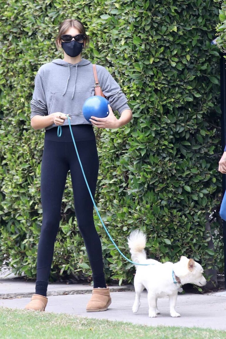 Kaia Gerber in a Grey Hoodie Walks Her Dog in Los Angeles 02/13/2021-6