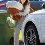 Rachel Bilson in a Grey Sweatsuit Leaves Her Mother’s Home in Los Angeles 02/08/2021