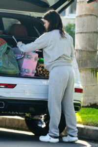 Rachel Bilson in a Grey Sweatsuit