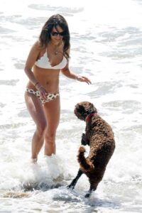 Jordana Brewster in a White Bikini Top