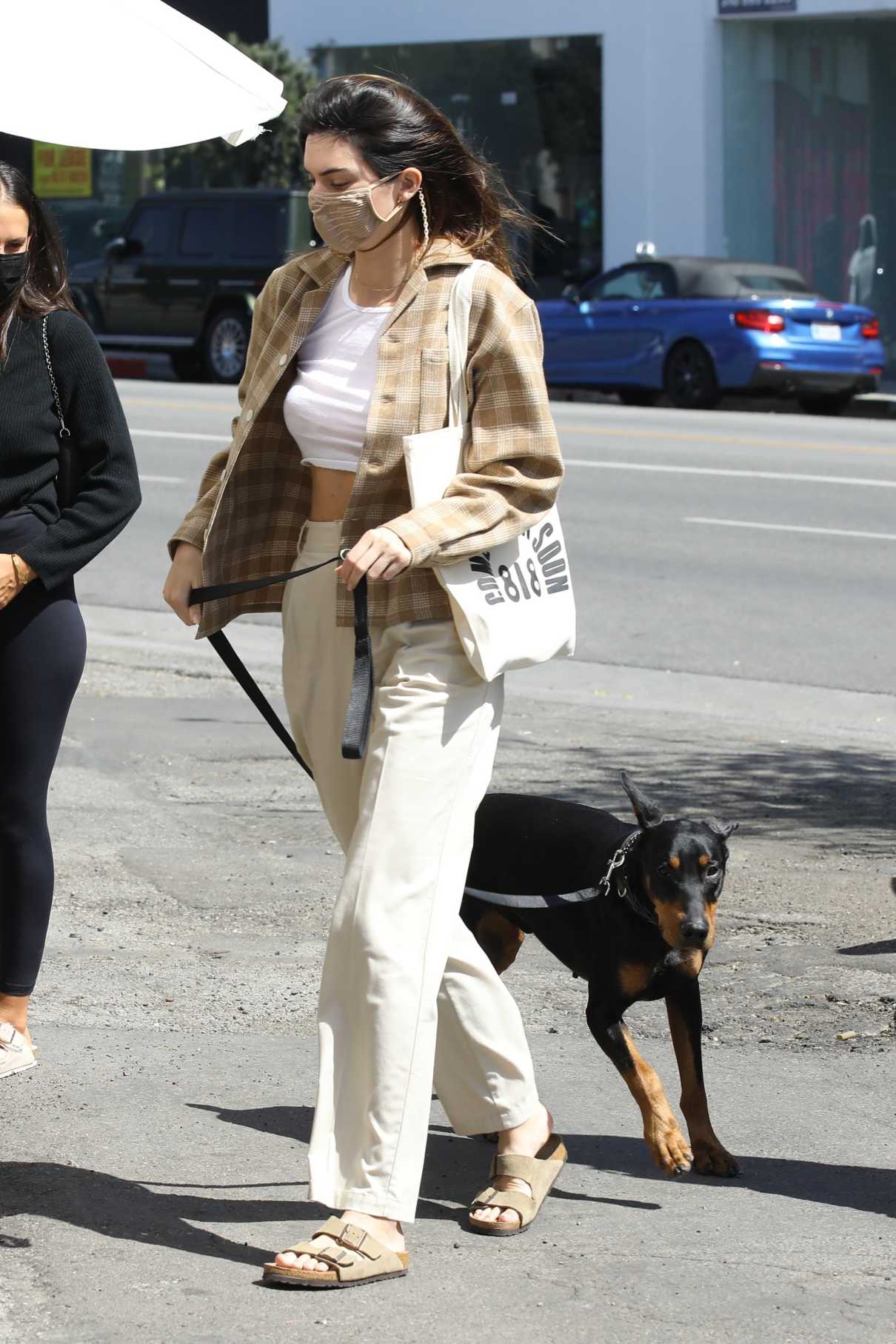 Kendall Jenner in a Beige Pants