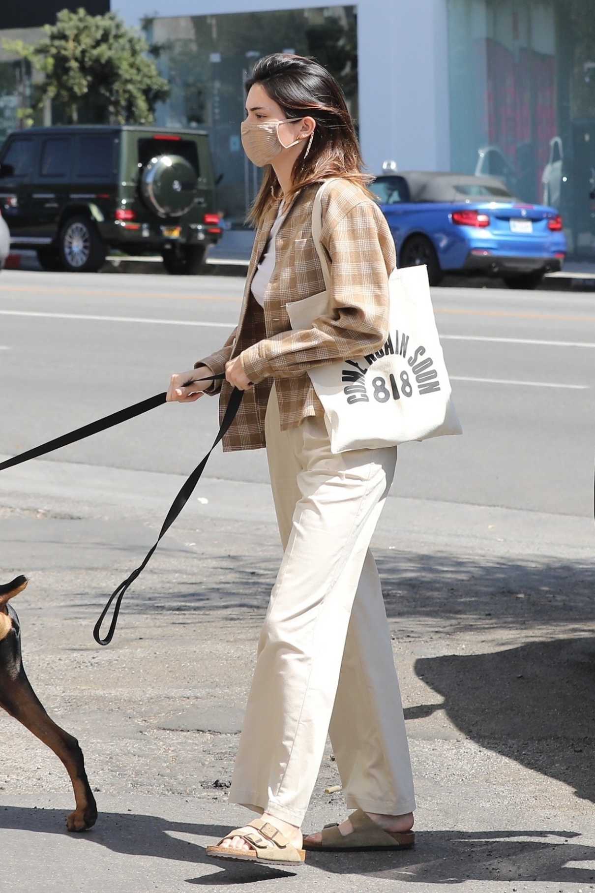 Kendall Jenner in a Beige Pants Walks Her Dog in West Hollywood 03/26 ...