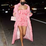 Pia Mia in a Pink Outfit Arrives to Dinner at the Nice Guy in West Hollywood 03/26/2021