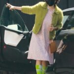 Alia Shawkat in a Neon Green Cardigan Was Seen Out in Los Feliz 04/03/2021