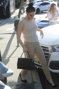 Ashley Greene in a Beige Outfit
