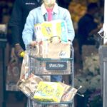 Diane Kruger in a Black Cap Goes Shopping at Bristol Farms in Los Angeles 04/23/2021