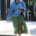 Diane Kruger in a Green Polka Dot Dress Was Seen Out in West Hollywood 04/27/2021