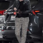 Sharon Stone in an Animal Print Pants Was Seen Out in Los Angeles 04/23/2021