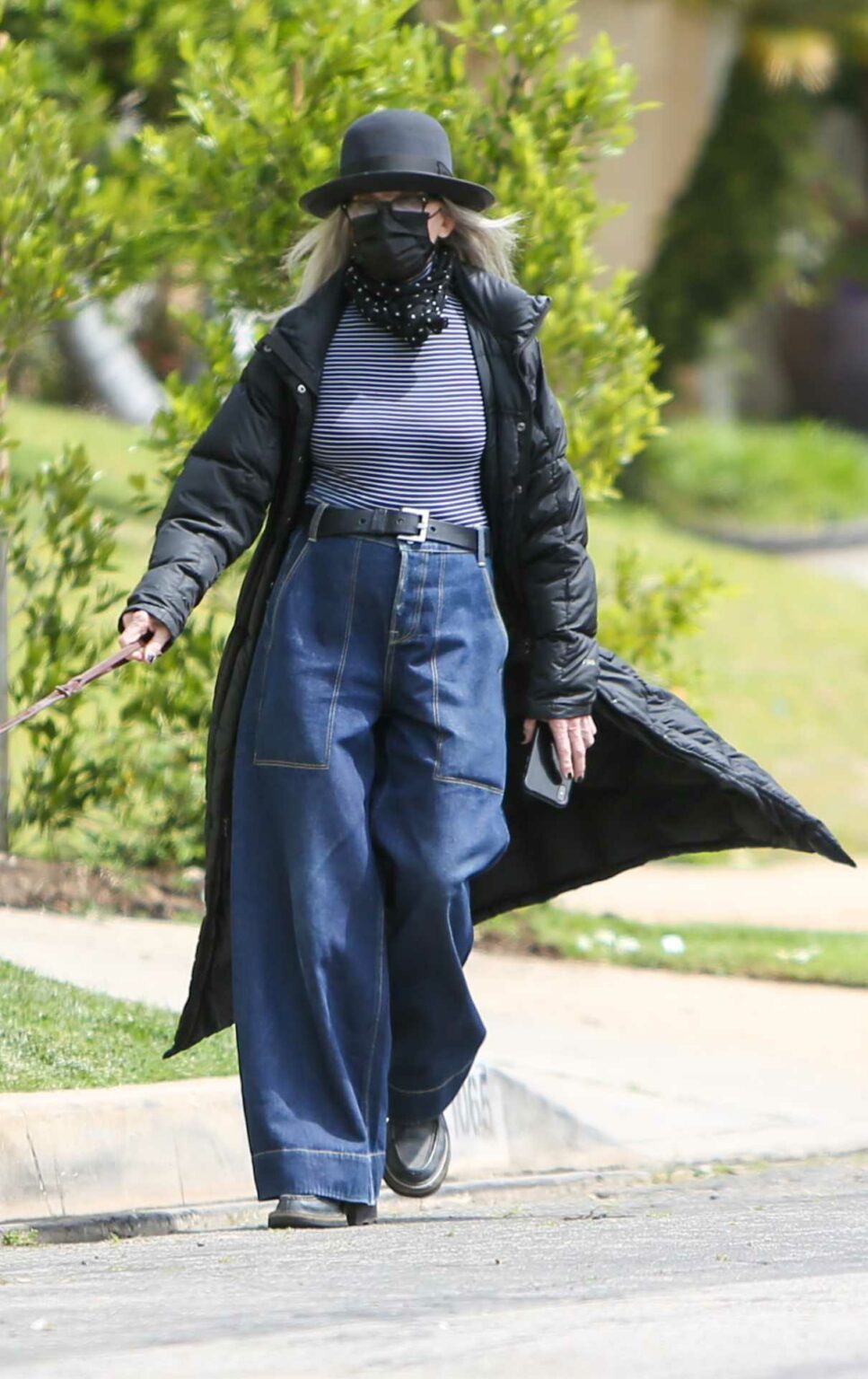 Diane Keaton in a Black Hat Walks Her Dog in Los Angeles 05/02/2021