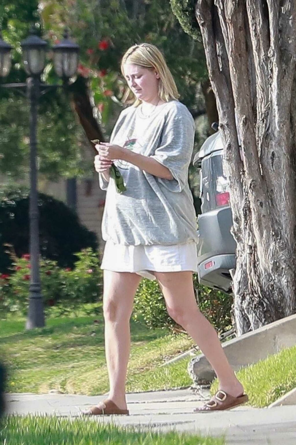 Mischa Barton in a Grey Sweatshirt Takes Her Dog for a Walk in Los