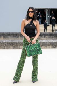 Bella Hadid in a Green Snakeskin Print Pants