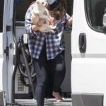 Olivia Munn in a Plaid Shirt Was Seen with Her Dogs Out in Los Angeles 06/13/2021