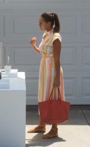 Dania Ramirez in a Striped Dress