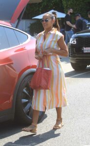 Dania Ramirez in a Striped Dress