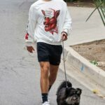 Chace Crawford in a White Sweatshirt Walks His Dog in Southampton 10/12/2021
